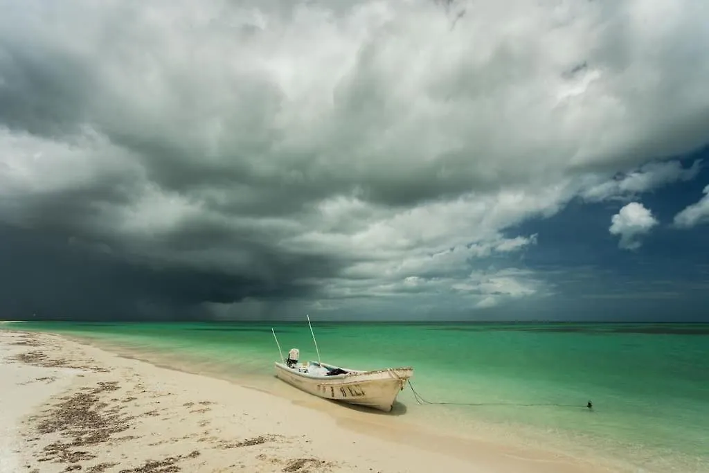 Space Brings Us Closer To Art - Casa Imox Isla Holbox